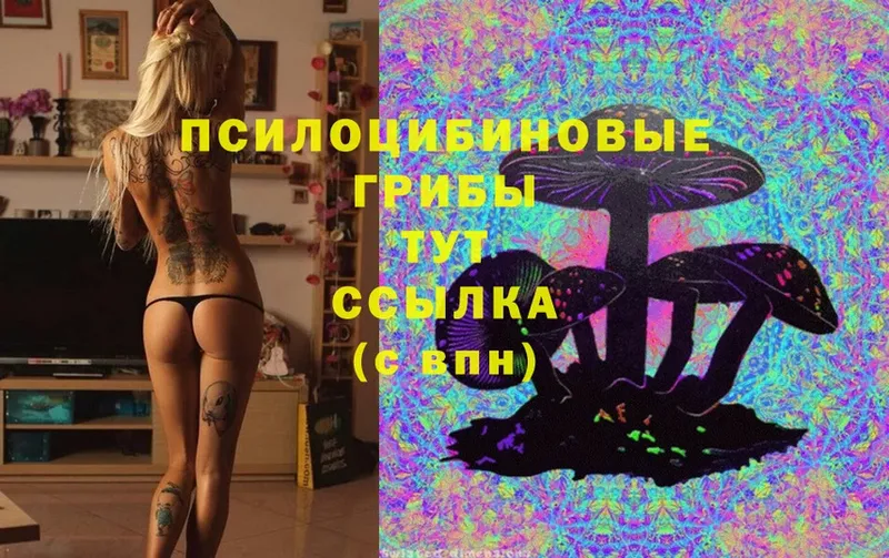 Галлюциногенные грибы Cubensis  как найти закладки  блэк спрут зеркало  Аксай 